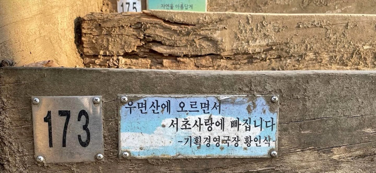 우면산에 기증한 계단목
